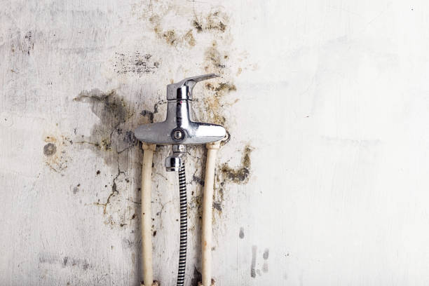  Dunbar, WV Mold Removal Pros