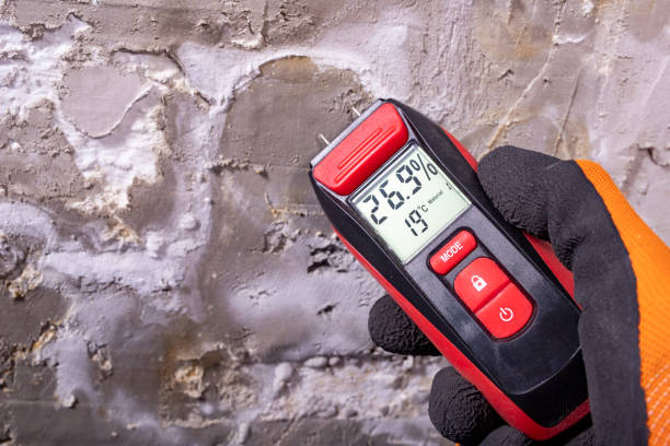 Best Residential Mold Remediation in Dunbar, WV