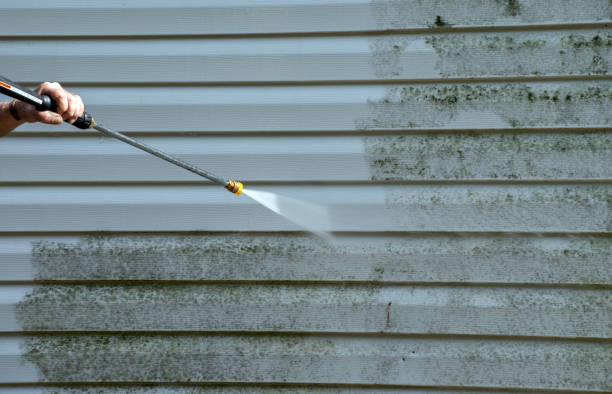 Best Residential Mold Remediation in Dunbar, WV